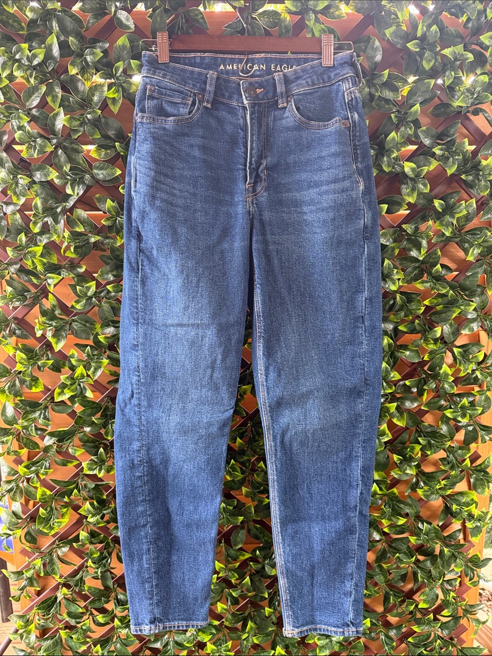 American Eagle Outfitters Mom Jean